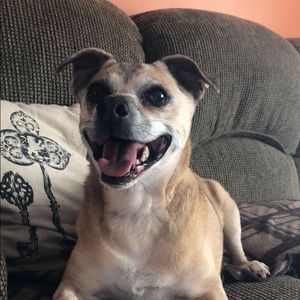 Meet your Posher, Bryan